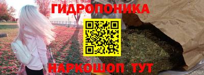 прущие крисы Лесосибирск