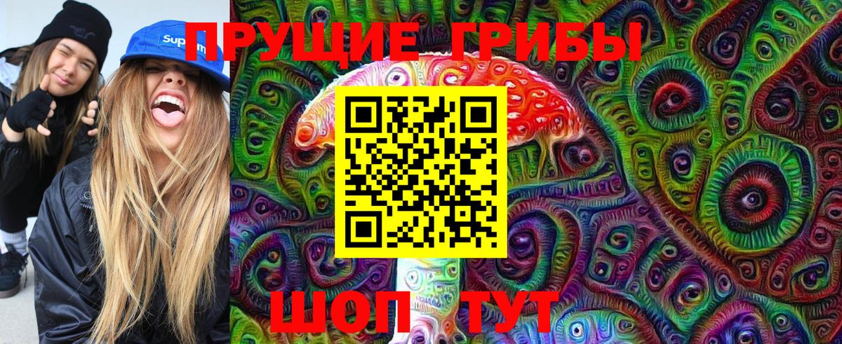 Дзержинск  Галлюциногенные грибы Magic Shrooms  купить наркоту  Вход с VPN 